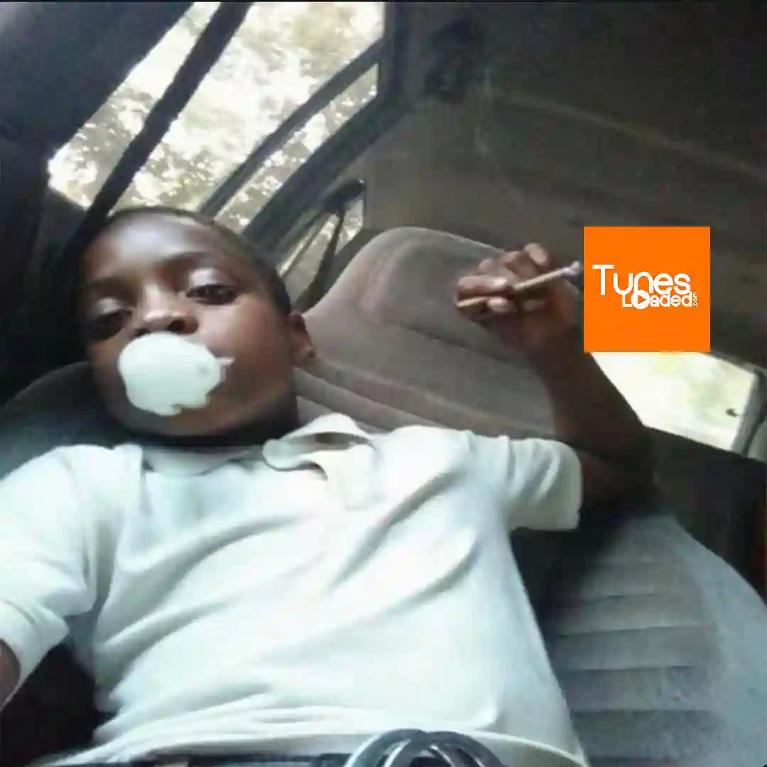 Zaylevelten – Muzz